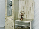 TV-305