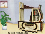 TV-317