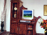 TV - 521