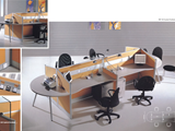 ESF 401