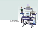 ESF 605