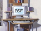 ESF 611