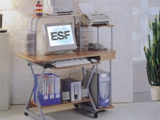 ESF 616