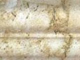 2-2B45016A1-S1