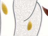 2-2B45083E1-H