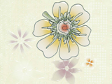 2-2B45093D-W