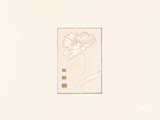 2-2D45011G-V10
