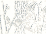 2-2D45029E-H6