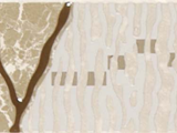 2-2D45039E1-H6 