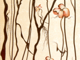 2-2D45070D-W1