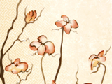 2-2D45070D-W2