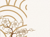 2-2D45211E1-WH
