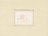 2A45026B1-V5
