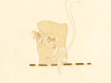 2A45049E1-W6