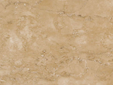 2A45055E1-H11
