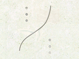 2A45066E1-W4 