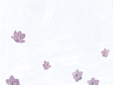 2A45188E1-WH