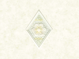 2A45206G-V