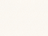 2A45210E1-W2