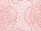2A45213E1-WH