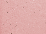 CE-C02