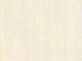TPP80-107