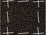 2-TH60005AN