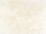 TAA60133