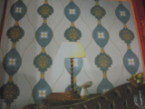 DSCN0497