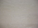 DSCN0503